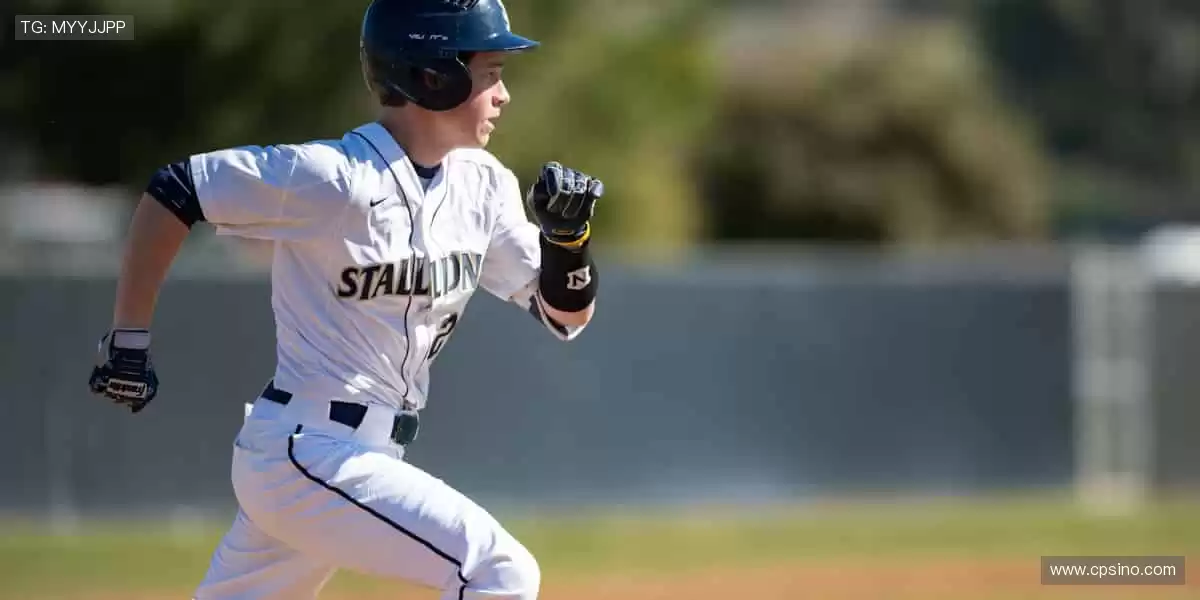 💪专业装备，品质之选！🏋️提升性能，超越自我！